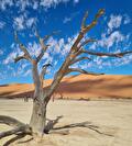Wonderschoon Namibië met het hele gezin